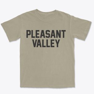 Pleasant Valley New York Classic Block Premium Heavyweight T-shirt