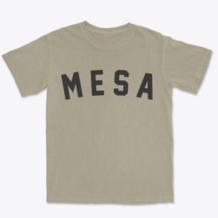 Mesa Arizona Classic Curve Premium Heavyweight T-shirt