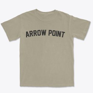 Arrow Point Missouri Classic Curve Premium Heavyweight T-shirt