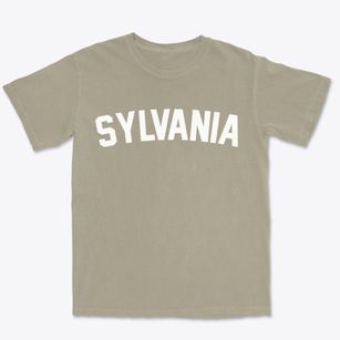 Sylvania Pennsylvania Classic Curve Premium Heavyweight T-shirt