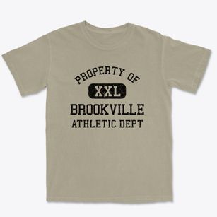 Brookville New York Athletic Dept Premium Heavyweight T-shirt