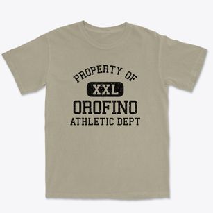 Orofino Idaho Athletic Dept Premium Heavyweight T-shirt