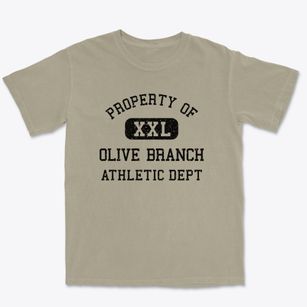 Olive Branch Illinois Athletic Dept Premium Heavyweight T-shirt