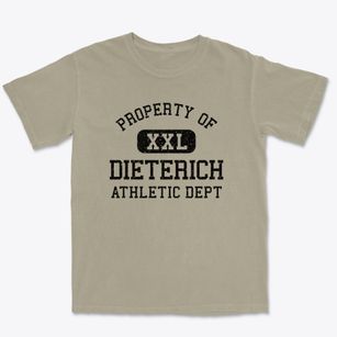 Dieterich Illinois Athletic Dept Premium Heavyweight T-shirt