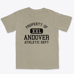 Andover Iowa Athletic Dept Premium Heavyweight T-shirt