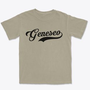 Geneseo Illinois Vintage Team Premium Heavyweight T-shirt