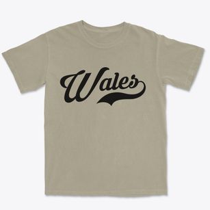 Wales Massachusetts Vintage Team Premium Heavyweight T-shirt