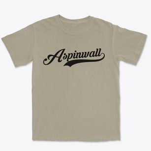 Aspinwall Iowa Vintage Team Premium Heavyweight T-shirt