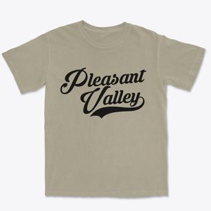 Pleasant Valley New York Vintage Team Premium Heavyweight T-shirt
