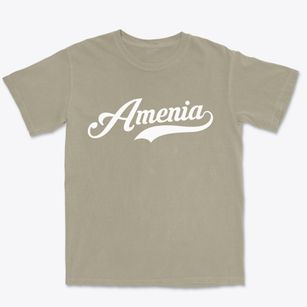 Amenia New York Vintage Team Premium Heavyweight T-shirt