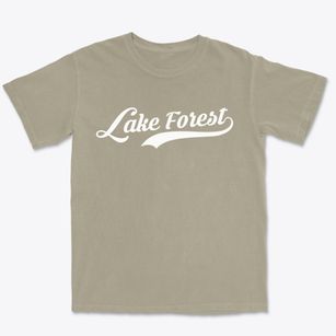 Lake Forest Illinois Vintage Team Premium Heavyweight T-shirt