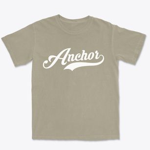 Anchor Illinois Vintage Team Premium Heavyweight T-shirt