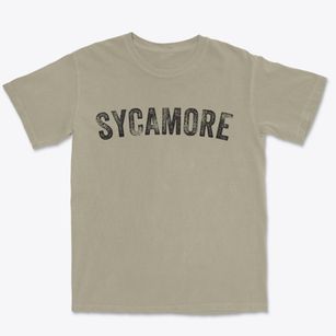 Sycamore Oklahoma Timeless Retro Premium Heavyweight T-shirt