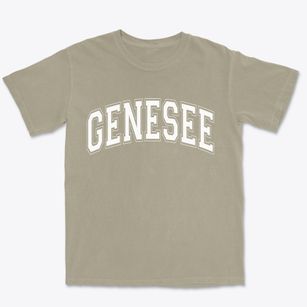 Genesee New York Varsity Premium Heavyweight T-shirt