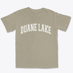 Duane Lake New York Varsity Premium Heavyweight T-shirt