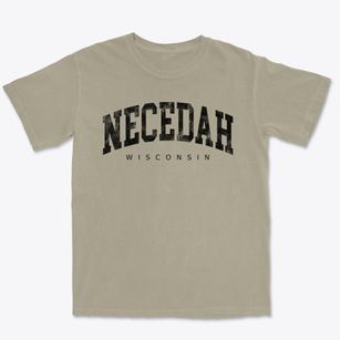 Necedah Wisconsin Urban Vibe Premium Heavyweight T-shirt