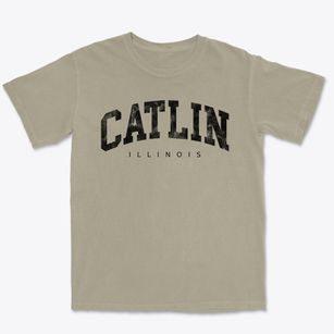 Catlin Illinois Urban Vibe Premium Heavyweight T-shirt