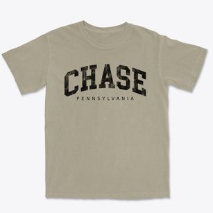 Chase Pennsylvania Urban Vibe Premium Heavyweight T-shirt