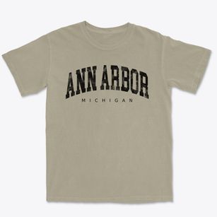 Ann Arbor Michigan Urban Vibe Premium Heavyweight T-shirt