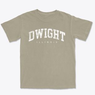 Dwight Illinois Urban Vibe Premium Heavyweight T-shirt