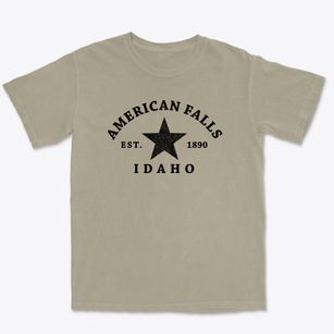 American Falls Idaho Star Premium Heavyweight T-shirt