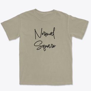 Normal Square Pennsylvania Freestyle Premium Heavyweight T-shirt