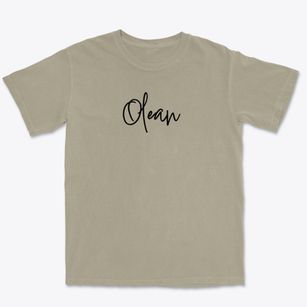 Olean Missouri Freestyle Premium Heavyweight T-shirt