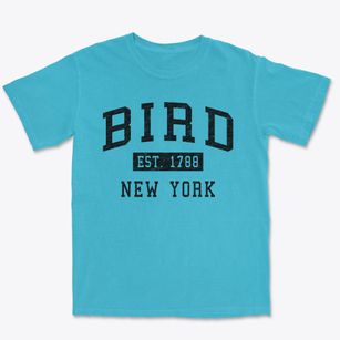 Bird New York Classic Established Premium Heavyweight T-shirt