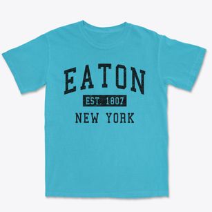Eaton New York Classic Established Premium Heavyweight T-shirt