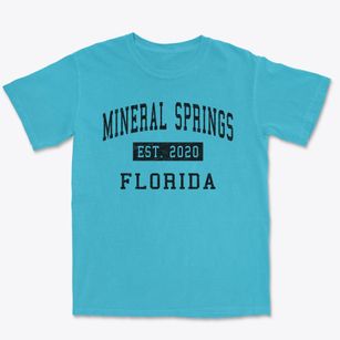 Mineral Springs Florida Classic Established Premium Heavyweight T-shirt