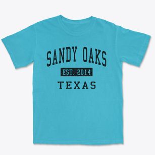 Sandy Oaks Texas Classic Established Premium Heavyweight T-shirt