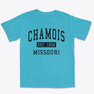 Chamois Missouri Classic Established Premium Heavyweight T-shirt