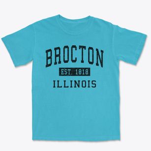 Brocton Illinois Classic Established Premium Heavyweight T-shirt