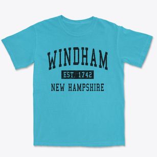 Windham New Hampshire Classic Established Premium Heavyweight T-shirt