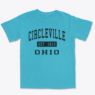 Circleville Ohio Classic Established Premium Heavyweight T-shirt