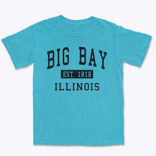 Big Bay Illinois Classic Established Premium Heavyweight T-shirt