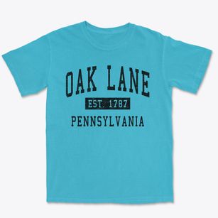 Oak Lane Pennsylvania Classic Established Premium Heavyweight T-shirt