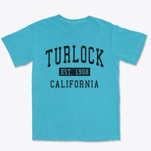 Turlock California Classic Established Premium Heavyweight T-shirt