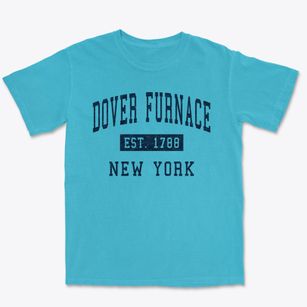 Dover Furnace New York Classic Established Premium Heavyweight T-shirt