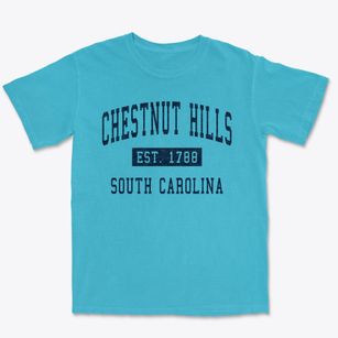 Chestnut Hills South Carolina Classic Established Premium Heavyweight T-shirt