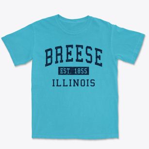 Breese Illinois Classic Established Premium Heavyweight T-shirt