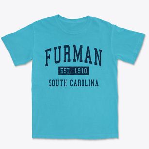 Furman South Carolina Classic Established Premium Heavyweight T-shirt