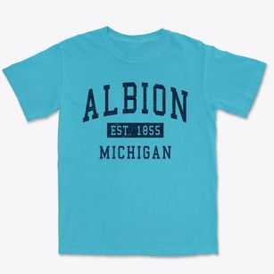 Albion Michigan Classic Established Premium Heavyweight T-shirt