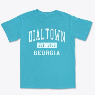 Dialtown Georgia Classic Established Premium Heavyweight T-shirt