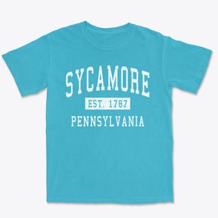 Sycamore Pennsylvania Classic Established Premium Heavyweight T-shirt