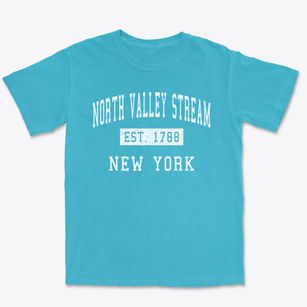 North Valley Stream New York Classic Established Premium Heavyweight T-shirt