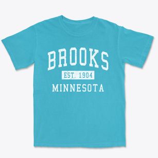 Brooks Minnesota Classic Established Premium Heavyweight T-shirt