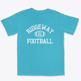 Ridgeway Community School Classic Football Premium Heavyweight T-shirt