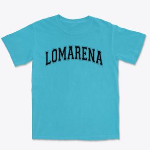 Lomarena Elementary School Varsity Arch Premium Heavyweight T-shirt
