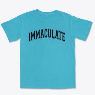 Immaculate High School Varsity Arch Premium Heavyweight T-shirt